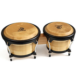 Bongos